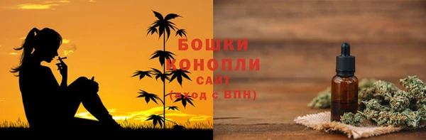 гидра Покровск