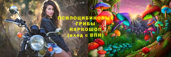 гидра Покровск
