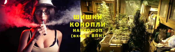 гидра Покровск