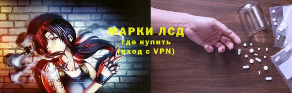 гидра Покровск